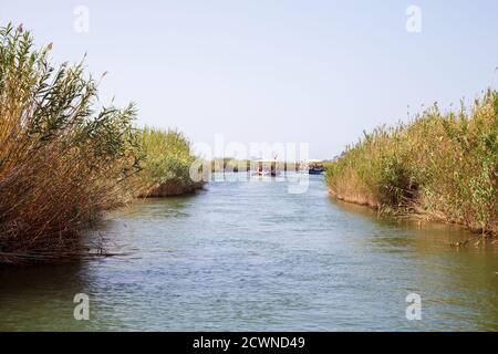 La rivière Dalyan est une destination touristique populaire en Turquie. La rivière accueille le caretta caretta et de nombreux oiseaux et poissons. Banque D'Images