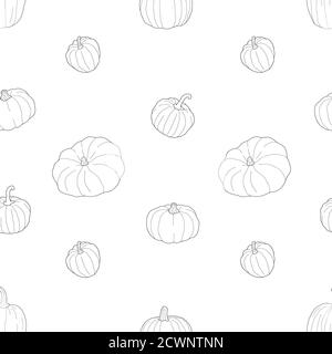 Motif transparent citrouille sans couture. Illustration vectorielle isolée sur fond blanc. Nourriture végétarienne saine. Style Doodle. Illustration de Vecteur