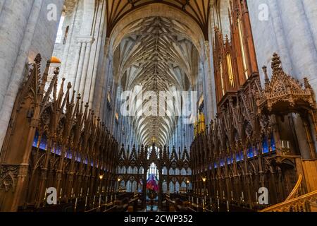 Angleterre, Hampshire, Winchester, la cathédrale de Winchester, les stands du chœur Banque D'Images