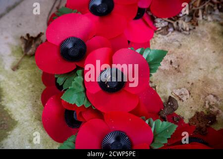 Gros plan sur une couronne de pavot rouge jour du souvenir Banque D'Images