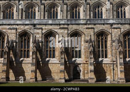 L'Angleterre, dans le Hampshire, Winchester, Winchester Cathedral Banque D'Images