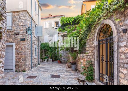 Rue européenne médiévale traditionnelle dans la vieille ville de Budva, au Monténégro Banque D'Images