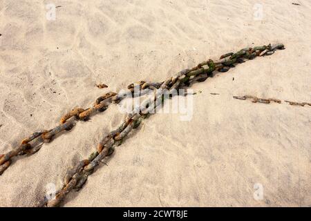 Chaînes d'amarrage situées sur le sable à marée basse : port de St. Ives, Cornwall, Royaume-Uni Banque D'Images