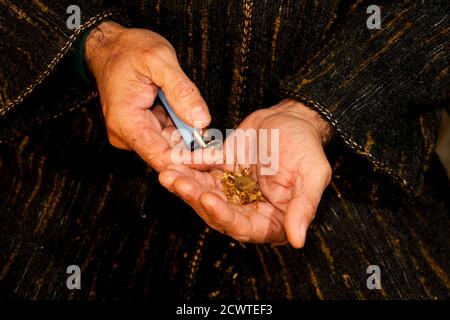 homme mains avec l'allume-cigare foncé grinçant allumé cigare dans la main chauffe morceau de haschisch, préparation de cigare haschisch Banque D'Images