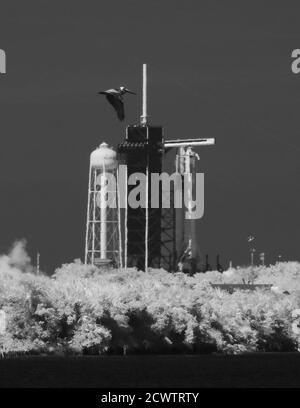 SpaceX Demo-2 incendie statique dans cette image infrarouge noir et blanc, une fusée SpaceX Falcon 9 avec le vaisseau spatial Crew Dragon de la société est visible sur le plateau de lancement du complexe de lancement 39A à la suite d'un bref essai d'incendie statique en prévision de la mission SpaceX Demo-2 de la NASA, le vendredi 22 mai 2020, Au Kennedy Space Center de la NASA en Floride. La mission SpaceX Demo-2 de la NASA est le premier lancement avec des astronautes de l'engin spatial SpaceX Crew Dragon et de la fusée Falcon 9 vers la Station spatiale internationale dans le cadre du programme d'équipage commercial de l'agence. Le vol d'essai sert de démonstration de bout en bout des SpaceX Banque D'Images