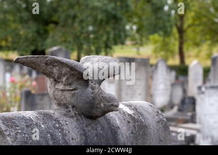 Détails sur les pierres tombales victoriennes du cimetière juif historique de Willesden, dans le nord-ouest de Londres. Banque D'Images