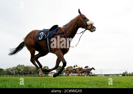 Presque Gold monté par Jockey T.J. O'Brien sur le chemin de gagner le Watch and Bet avec MansionBet Novice course de handicap Chase de MantisionBet tandis que Doctor Haze passe à l'hippodrome de Huntingdon. Banque D'Images