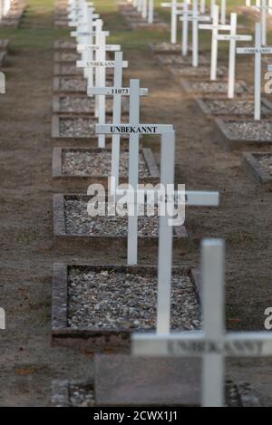 Gardelden, Allemagne. 15 septembre 2020. Dans le cimetière du mémorial de la grange d'Isenschnibe, il y a des croix blanches. Le 13 avril 1945, peu avant la fin de la guerre, plus de 1000 prisonniers de camp de concentration ont été conduits dans une grange et assassinés ici. La grange avait été incendiée par des soldats SS, des membres de la Wehrmacht, mais aussi des civils. Seuls quelques prisonniers de camp de concentration ont survécu au massacre. Credit: Stephan Schulz/dpa-Zentralbild/ZB/dpa/Alay Live News Banque D'Images