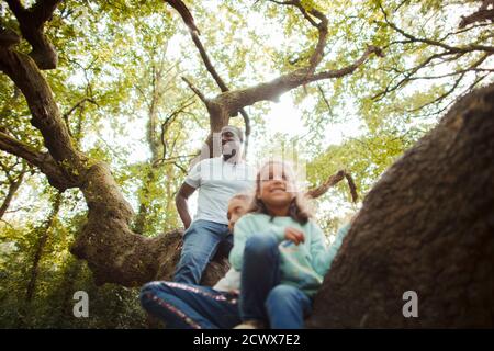 Père heureux et filles grimpant l'arbre Banque D'Images
