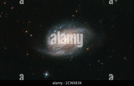 Hubble Views Galaxy du célèbre catalogue cet objet lumineux, quelque peu semblable à un blob — vu dans cette image prise par le télescope spatial Hubble de la NASA/ESA — est une galaxie nommée NGC 1803. Il est à environ 200 millions d’années-lumière, dans la constellation sud de Pictor (l’Easel du peintre). Le NGC 1803 a été découvert en 1834 par l'astronome John Herschel. Herschel est un grand nom en astronomie; John, son père William et sa tante Caroline ont tous fait d'énormes contributions dans le domaine, et leurs legs sont encore aujourd'hui. William a systématiquement catalogué beaucoup des objets qu'il a vus dans le ciel nocturne, nommé beaucoup de lunes moi Banque D'Images