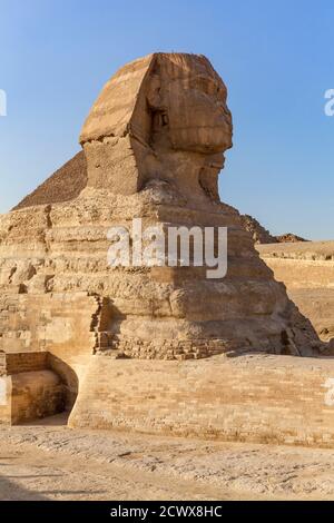 Grand Sphinx de Giza, le Caire Banque D'Images