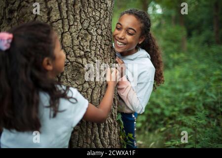 Joyeuses sœurs jouant au tronc d'arbre dans les bois Banque D'Images