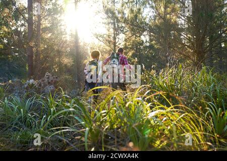 Jeune couple avec sacs à dos randonnée dans l'herbe haute ensoleillée bois Banque D'Images