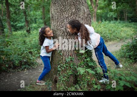 Mignons sœurs jouant au tronc d'arbre dans les bois Banque D'Images