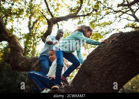 Père et filles grimpant l'arbre Banque D'Images