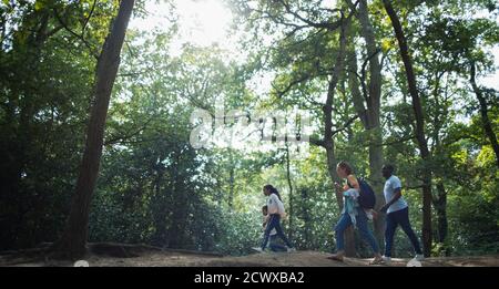 Randonnée en famille dans les bois ensoleillés d'été Banque D'Images
