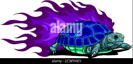 Tortue d'étoile birmane Vector sur fond blanc Illustration de Vecteur