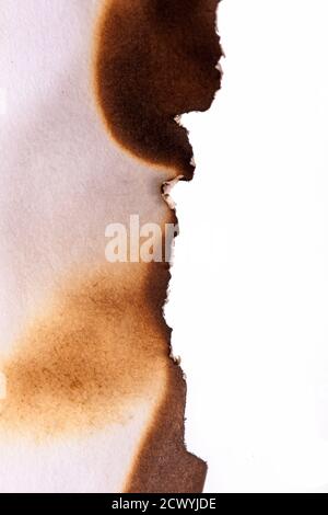 bords de papier brûlés isolés sur fond blanc. modèle pour la conception Banque D'Images