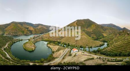 Région de la vallée du Douro, Portugal. Paysage de vignes avec belle ferme. Attraction touristique et destination de voyage. Vue de dessus de l'antenne de drone. Plier sh Banque D'Images