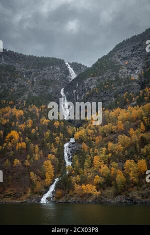 La cascade de Kjossossen s'écoulant entre les arbres d'automne depuis le sommet de la montagne. Norvège. Tir long. Banque D'Images