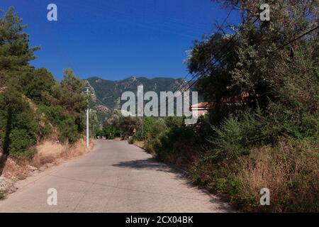 Route pavée vers les montagnes avec arbres et lignes électriques le long Banque D'Images