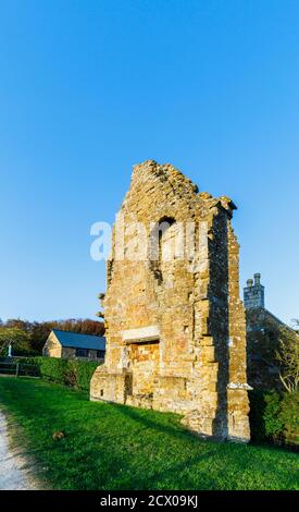 Le mur en ruines de la salle à manger des moines ou du réfectoire de l'abbaye d'Abbotsbury, un ancien monastère bénédictin d'Abbotsbury, Devon, au sud-est de l'Angleterre Banque D'Images