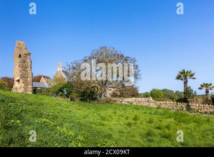 Le mur en ruines de la salle à manger des moines ou du réfectoire de l'abbaye d'Abbotsbury, un ancien monastère bénédictin d'Abbotsbury, Devon, au sud-est de l'Angleterre Banque D'Images