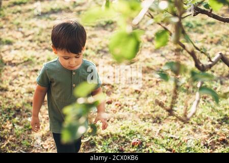 Garçon caucasien marchant dans des arbres dans un champ portant un t-shirt vert dans une chaude soirée d'été Banque D'Images