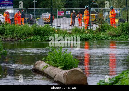 Denham, Royaume-Uni. 30 septembre 2020. Un arbre abattu par HS2 est abandonné dans le ruisseau de craie de la rivière Colne alors que le personnel de HS2 garde une zone de terre à travers l'eau qu'ils ont réquisitionné à côté du club de golf Buckinghamshire. HS2 prévoit de construire un pont d'accès à travers la rivière Colne du ruisseau craie, à travers le parc national Denham pour la liaison ferroviaire à grande vitesse HS2. De nombreux résidents locaux s'opposent au HS2, tout comme les militants et les militants écologistes. Crédit : Maureen McLean/Alay Live News Banque D'Images