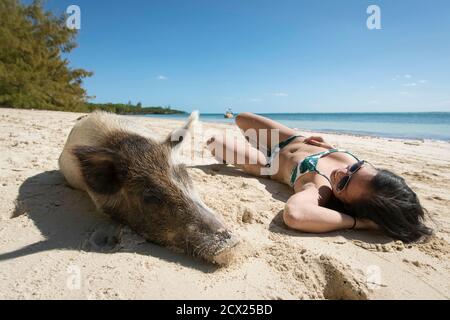 Jeune femme se détendant à la plage par beau temps Banque D'Images