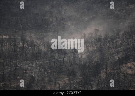 Fumée émise par un feu de forêt Banque D'Images