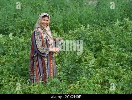 Portrait d'une femme ouzbek travaillant dans les champs, Boukhara, Ouzbékistan Banque D'Images