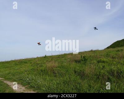 Deux deltaplaneurs volent haut dans un beau ciel violet de soirée au-dessus de la colline verte avec le chemin terrestre à Khodosivka, Kiev. Banque D'Images