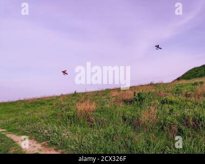 Deux deltaplaneurs volent haut dans un beau ciel violet de soirée au-dessus de la colline verte avec le chemin terrestre à Khodosivka, Kiev. Banque D'Images