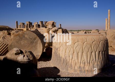 Ruines du palais d'Apadana et bas reliefs, Persepolis, Iran. Palais de Darius le Grand au-delà. Base de la colonne Banque D'Images