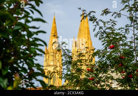 Spires de ficelle de la cathédrale de Truro vu à travers les arbres dans le soleil du soir Banque D'Images