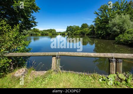 Dorsten, Dorsten-Deuten, Lippe, Ruhrgebiet, Naturpark Hohe Mark Westmuensterland, Muensterland, Westfalen, Nordrhein-Westfalen, NRW, Muehlenteich an d Banque D'Images