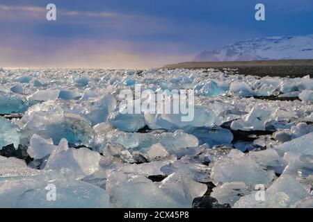 Plage de diamants de Jökulsarlon en hiver avec beaucoup de glace étincelante sur le sable noir. Banque D'Images