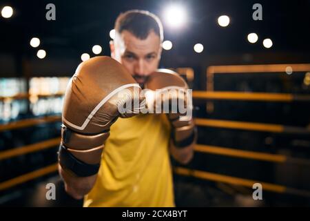 Champion de boxe debout dans une posture défensive Banque D'Images