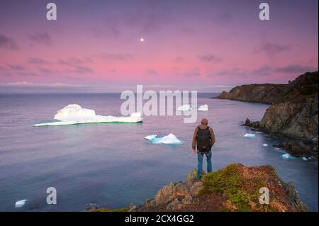 Canada, Maritimes, Terre-Neuve, Twillingate,Crow Head, côte avec icebergs MR Banque D'Images