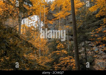 Etats-Unis, sud-est, Kentucky, , forêt nationale Daniel Boone, zone géologique de la gorge de la rivière Rouge, Arch, arche de Grays Banque D'Images