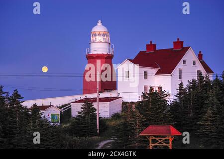 Canada, Maritimes, Terre-Neuve, Twillingate, Crow Head, phare de long point, (m) Banque D'Images