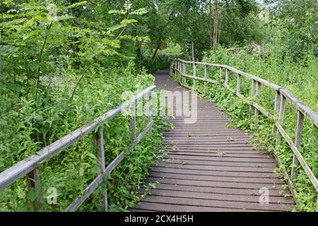 Promenade avec clôture en bois serpente dans le sous-bois Banque D'Images