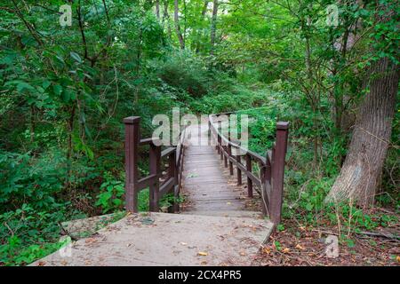 Un pont en bois inégal traversant une rivière dans une végétation luxuriante Forêt verte Banque D'Images