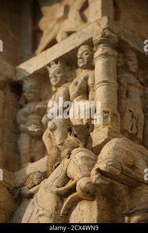 L'ensemble de l'Écureuil rampant de la sculpture sur pierre ornée de chevaux, Jagdish Temple, Udaipur, Rajasthan, Inde Banque D'Images