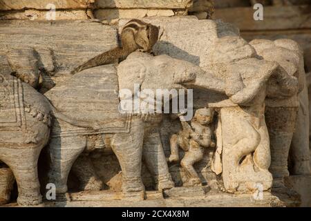 Écureuil rampant à travers la sculpture en pierre ornée d'éléphants, Temple Jagdish, Udaipur, Rajasthan, Inde Banque D'Images