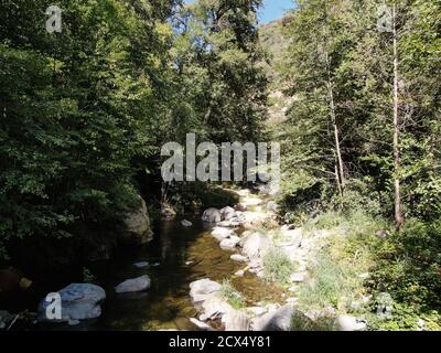 La végétation dense entourant Oak Creek, juste avant le début de l'automne. Cette image a été prise légèrement au nord de Sedona, Arizona. Banque D'Images