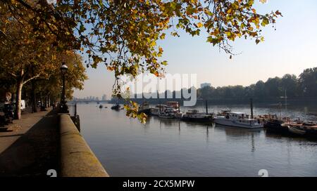 Chaud automne matin vue en aval de Chelsea Embankment en regardant vers Chelsea Bridge et Battersea Park. River Thames, Chelsea, Londres, Angleterre. Banque D'Images