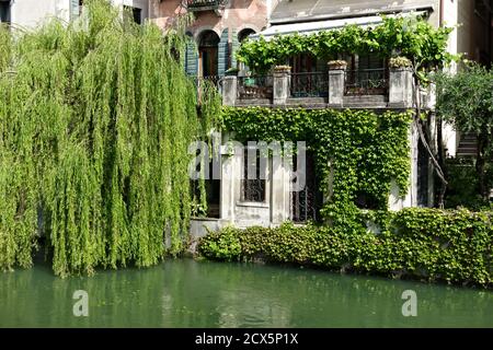 Aperçu des maisons vénitiennes typiques le long de la rivière Sile, Riviera Santa Margherita. Saule pleureur. Trévise, Vénétie, Italie, Europe. Banque D'Images