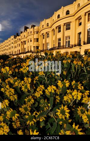 Les jardins et la classe I ont inscrit l'architecture géorgienne de la partie est de Brunswick Square, Hove, Brighton et Hove, East Sussex, Angleterre Banque D'Images